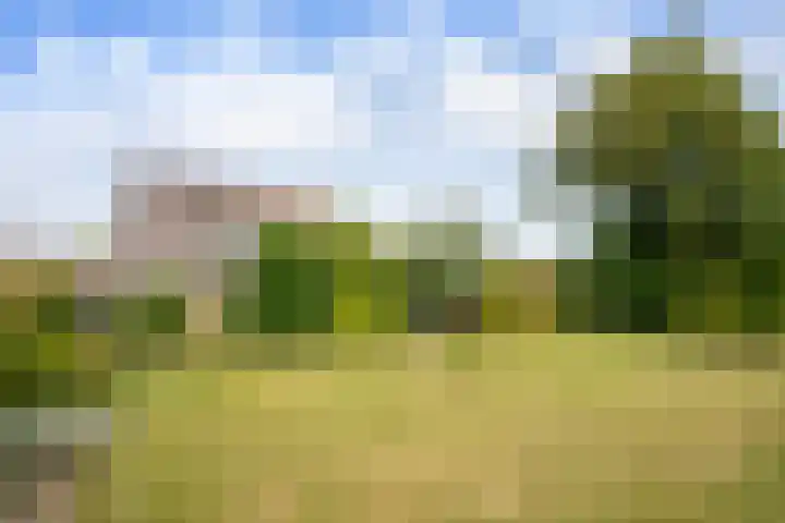 Bernhardlaan 126 Den Burg thumbnail 50