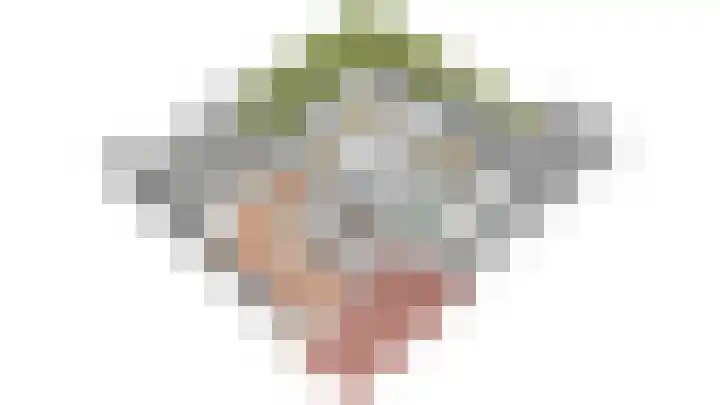 Bernhardlaan 126 Den Burg thumbnail 52