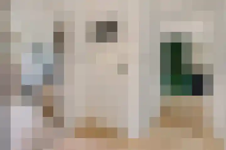 Bernhardlaan 13 3 Arnhem thumbnail 20