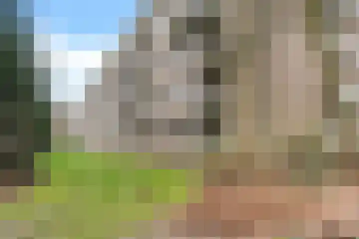 Bernhardlaan 13 3 Arnhem thumbnail 22