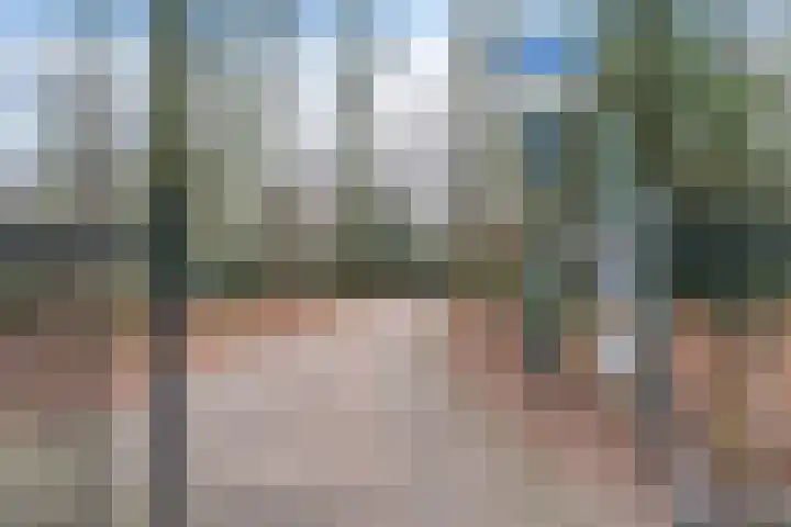 Bernhardlaan 13 3 Arnhem thumbnail 26