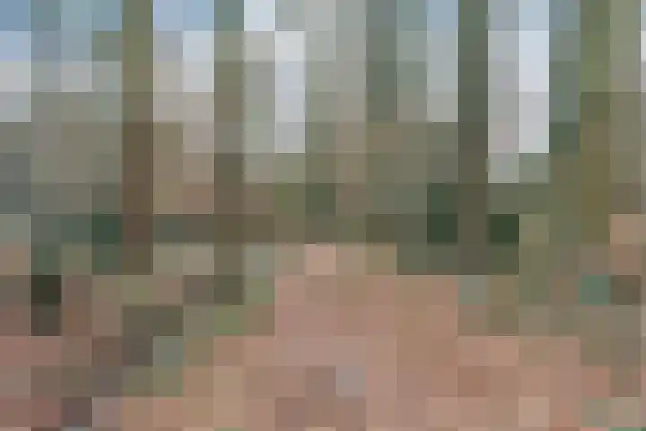 Bernhardlaan 13 3 Arnhem thumbnail 27