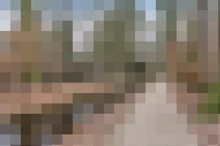 Bernhardlaan 13 3 Arnhem thumbnail 28