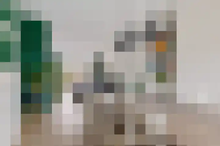 Bernhardlaan 13 3 Arnhem thumbnail 6