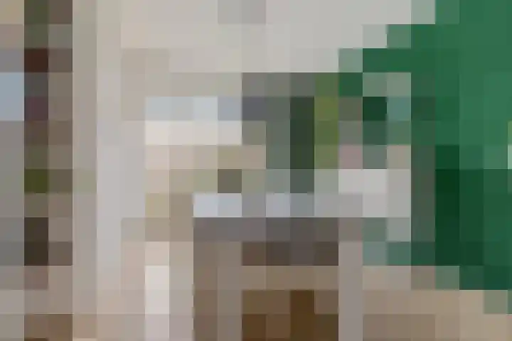 Bernhardlaan 13 3 Arnhem thumbnail 8