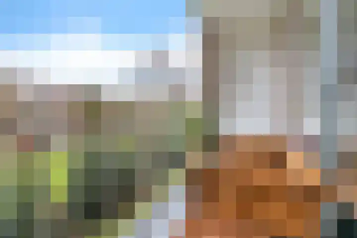 Bernhardlaan 13 3 Arnhem thumbnail 9