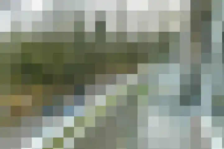 Bernhardlaan 13 4 Arnhem thumbnail 16