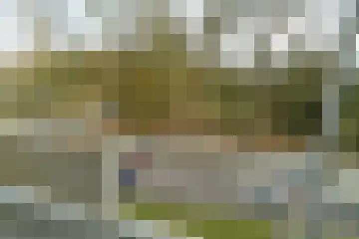 Bernhardlaan 13 4 Arnhem thumbnail 17