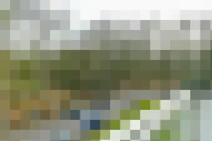 Bernhardlaan 13 4 Arnhem thumbnail 18