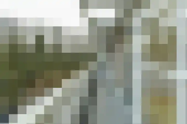 Bernhardlaan 13 4 Arnhem thumbnail 25