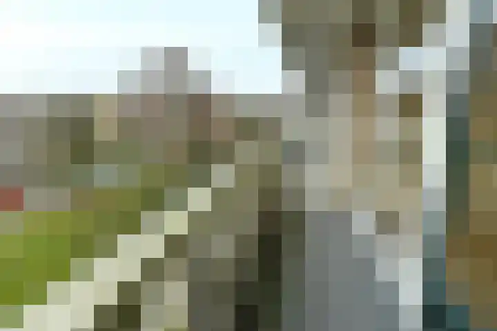 Bernhardlaan 13 4 Arnhem thumbnail 32