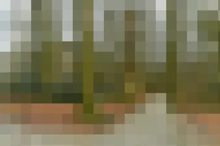 Bernhardlaan 13 4 Arnhem thumbnail 35