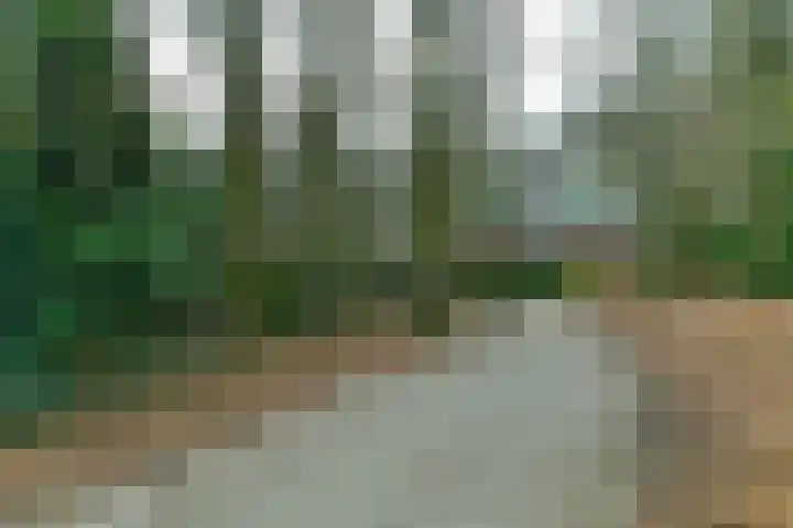 Bernhardlaan 13 4 Arnhem thumbnail 36