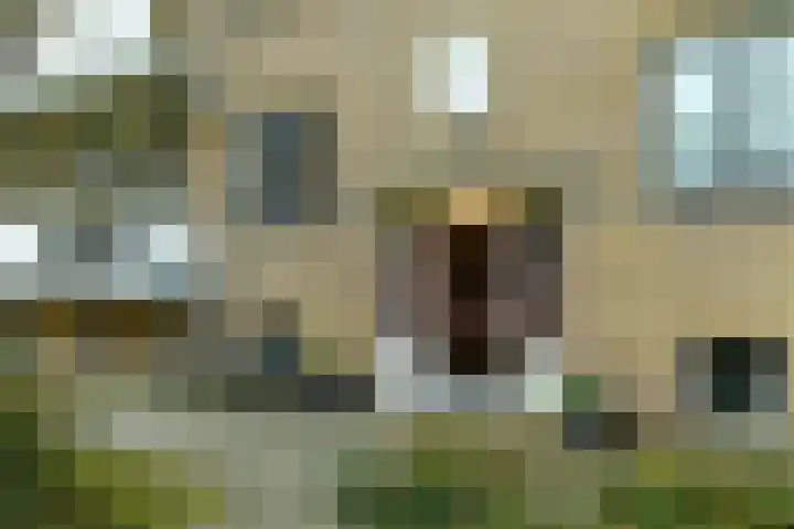 Bernhardlaan 13 4 Arnhem thumbnail 8