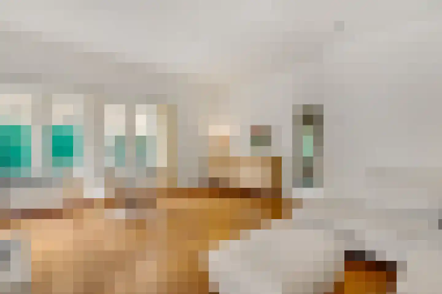 Bernhardlaan 13 Maastricht thumbnail 11