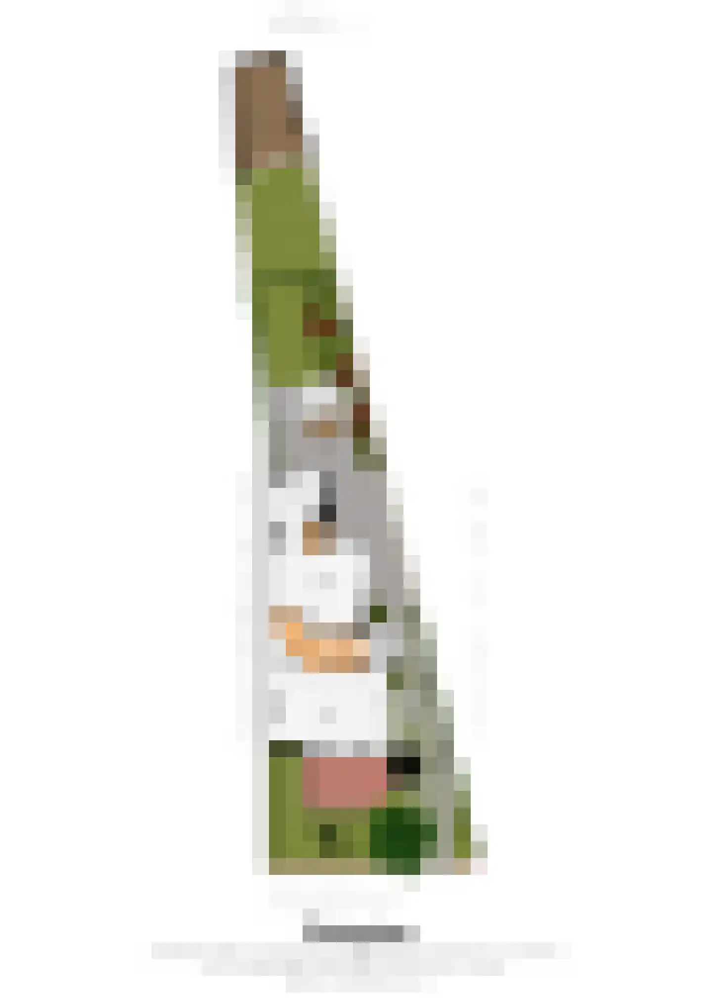 Bernhardlaan 13 Maastricht thumbnail 31