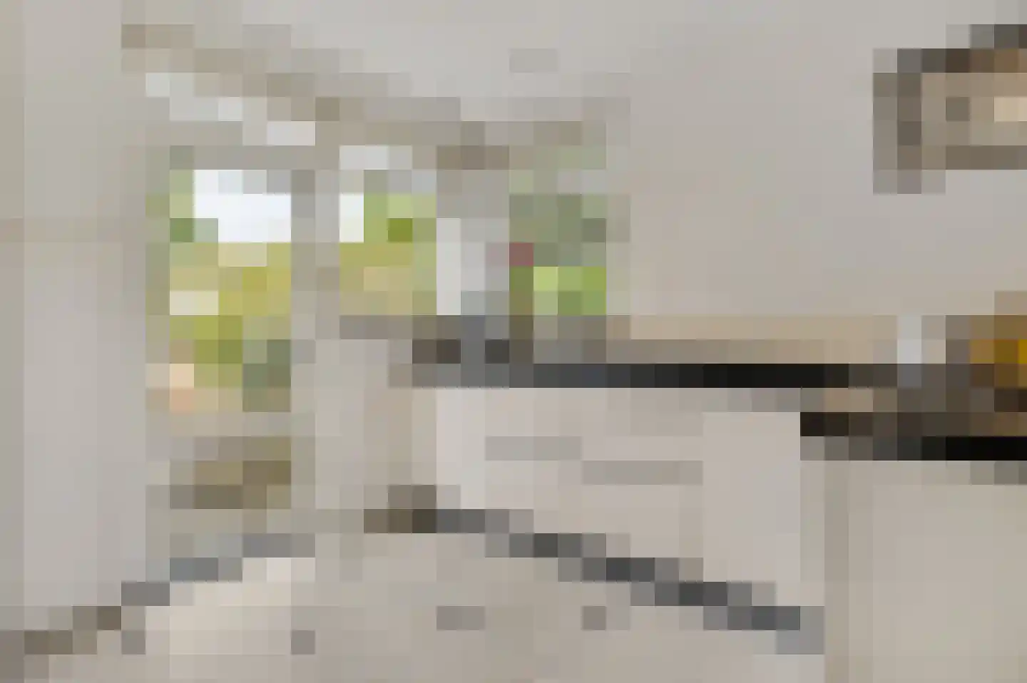 Bernhardlaan 13 Maastricht thumbnail 4