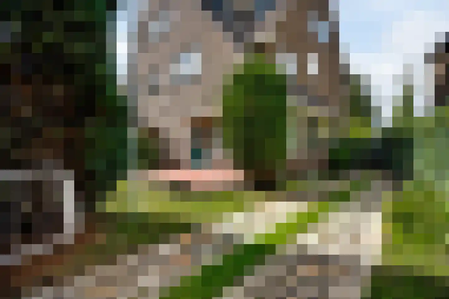 Bernhardlaan 13 Maastricht thumbnail 6