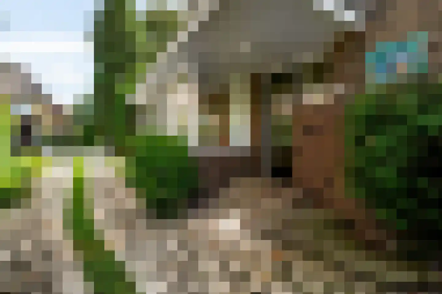 Bernhardlaan 13 Maastricht thumbnail 7