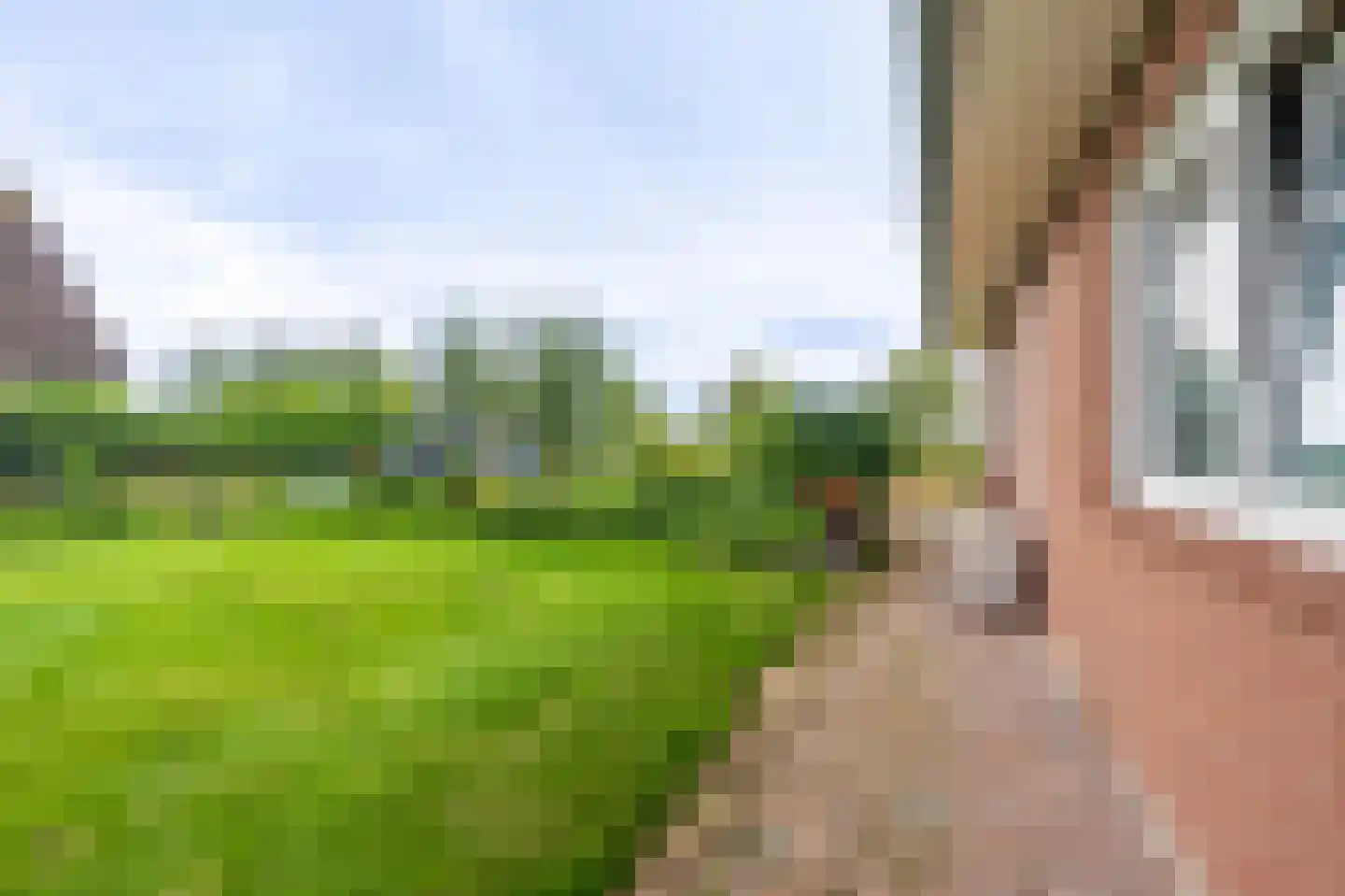 Bernhardlaan 13 Oostwold thumbnail 45