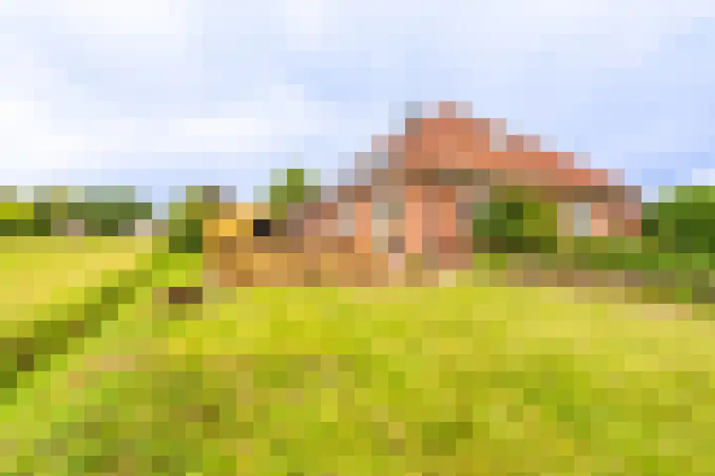 Bernhardlaan 13 Oostwold thumbnail 46