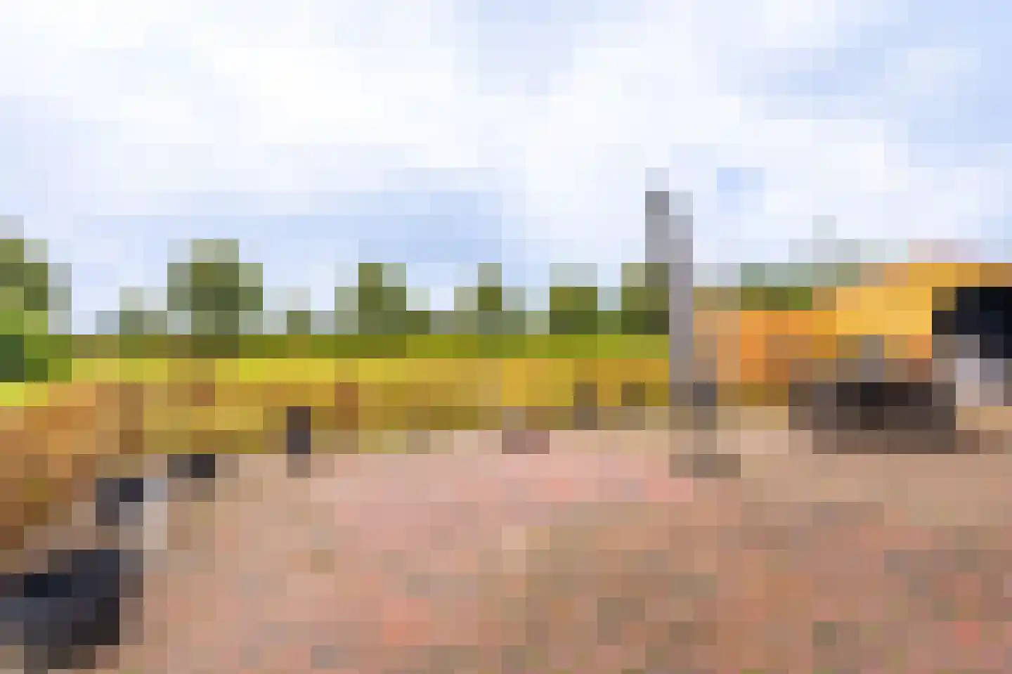 Bernhardlaan 13 Oostwold thumbnail 47
