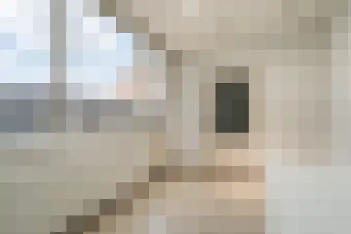 Bernhardlaan 13 Weert thumbnail 14