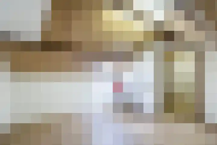 Bernhardlaan 13 Weert thumbnail 36