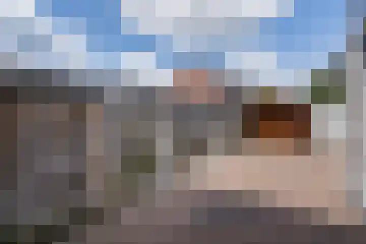 Bernhardlaan 13 Weert thumbnail 39