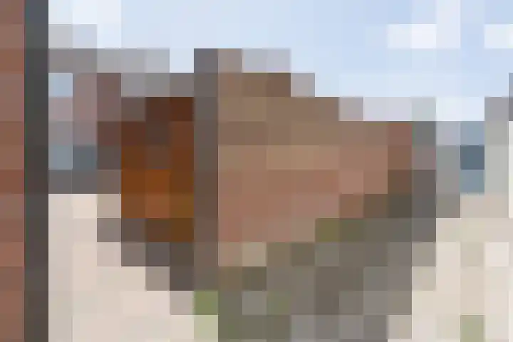 Bernhardlaan 13 Weert thumbnail 41