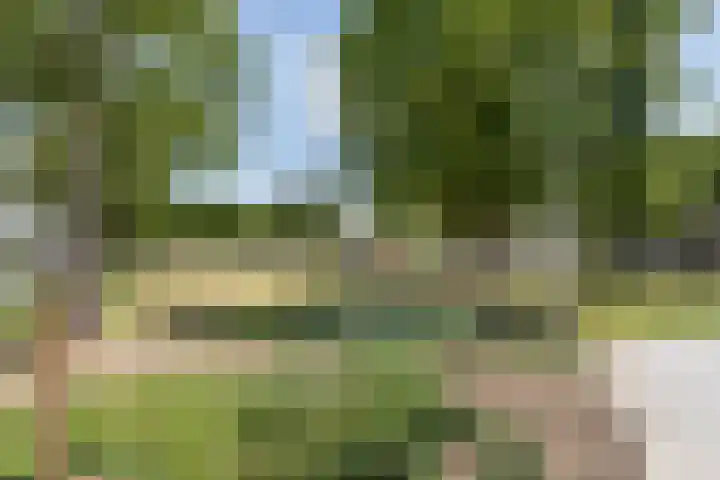 Bernhardlaan 13 Weert thumbnail 44