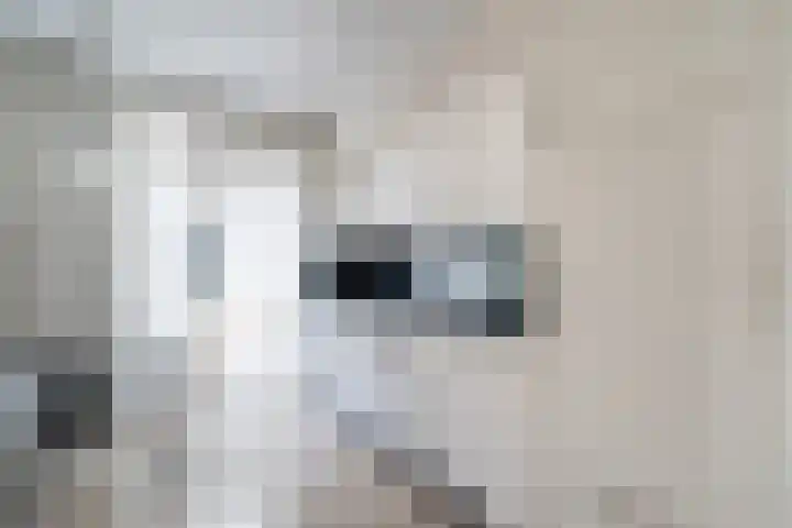Bernhardlaan 13 Weert thumbnail 8
