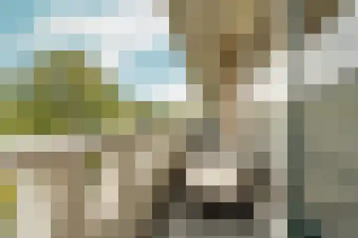 Bernhardlaan 15 4A Arnhem thumbnail 23