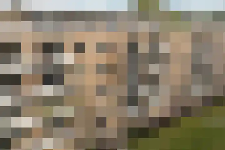 Bernhardlaan 15 4A Arnhem thumbnail 29