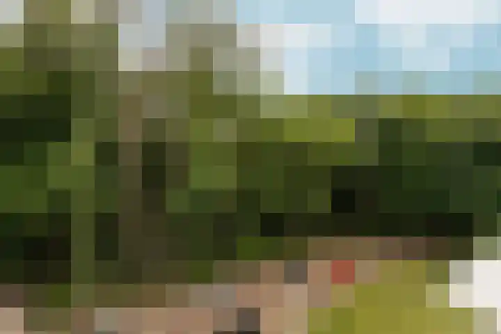 Bernhardlaan 15 4A Arnhem thumbnail 33