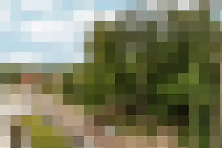 Bernhardlaan 15 4A Arnhem thumbnail 34