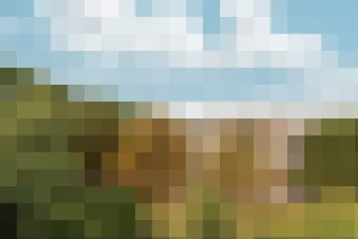 Bernhardlaan 15 4A Arnhem thumbnail 35