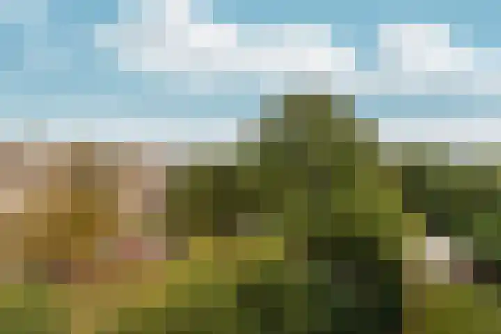Bernhardlaan 15 4A Arnhem thumbnail 36