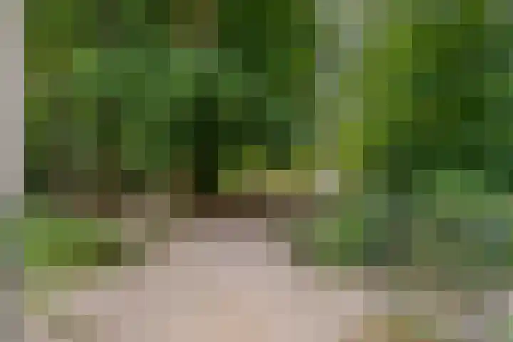 Bernhardlaan 15 4A Arnhem thumbnail 37