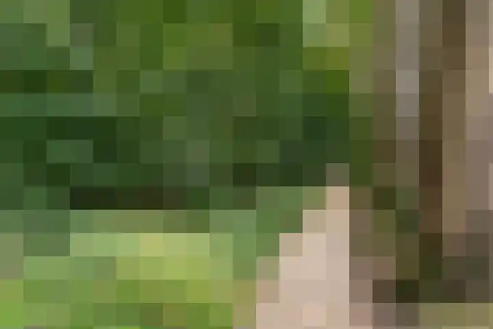 Bernhardlaan 15 4A Arnhem thumbnail 38