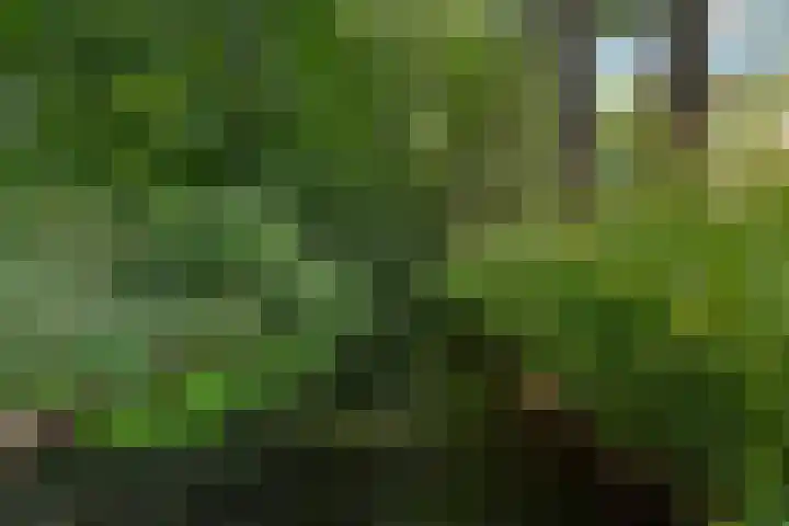 Bernhardlaan 15 4A Arnhem thumbnail 39
