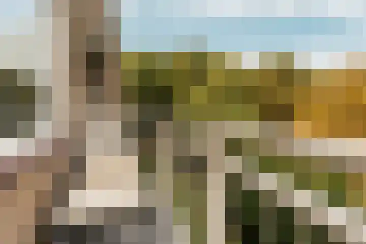 Bernhardlaan 15 4A Arnhem thumbnail 9