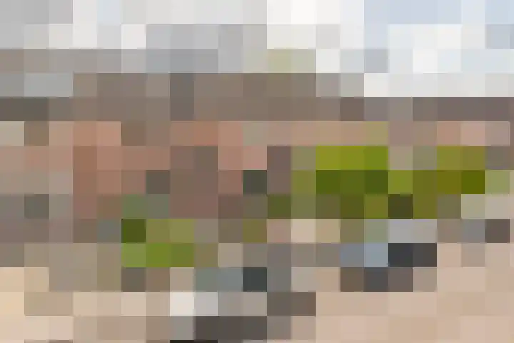 Bernhardlaan 16 Beusichem thumbnail 35