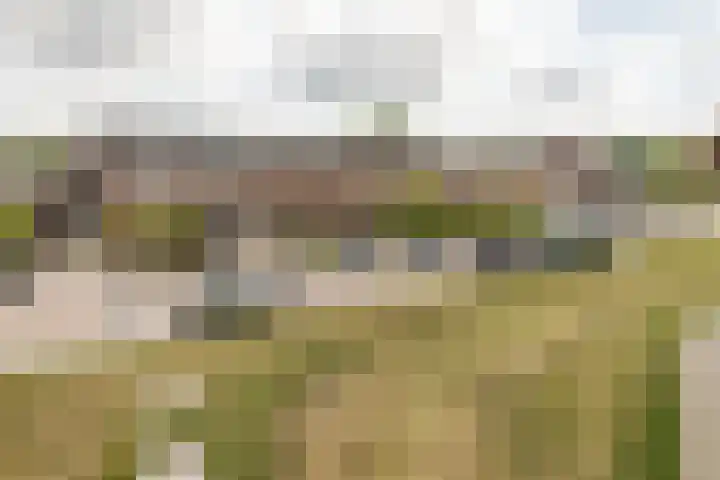 Bernhardlaan 16 Beusichem thumbnail 36
