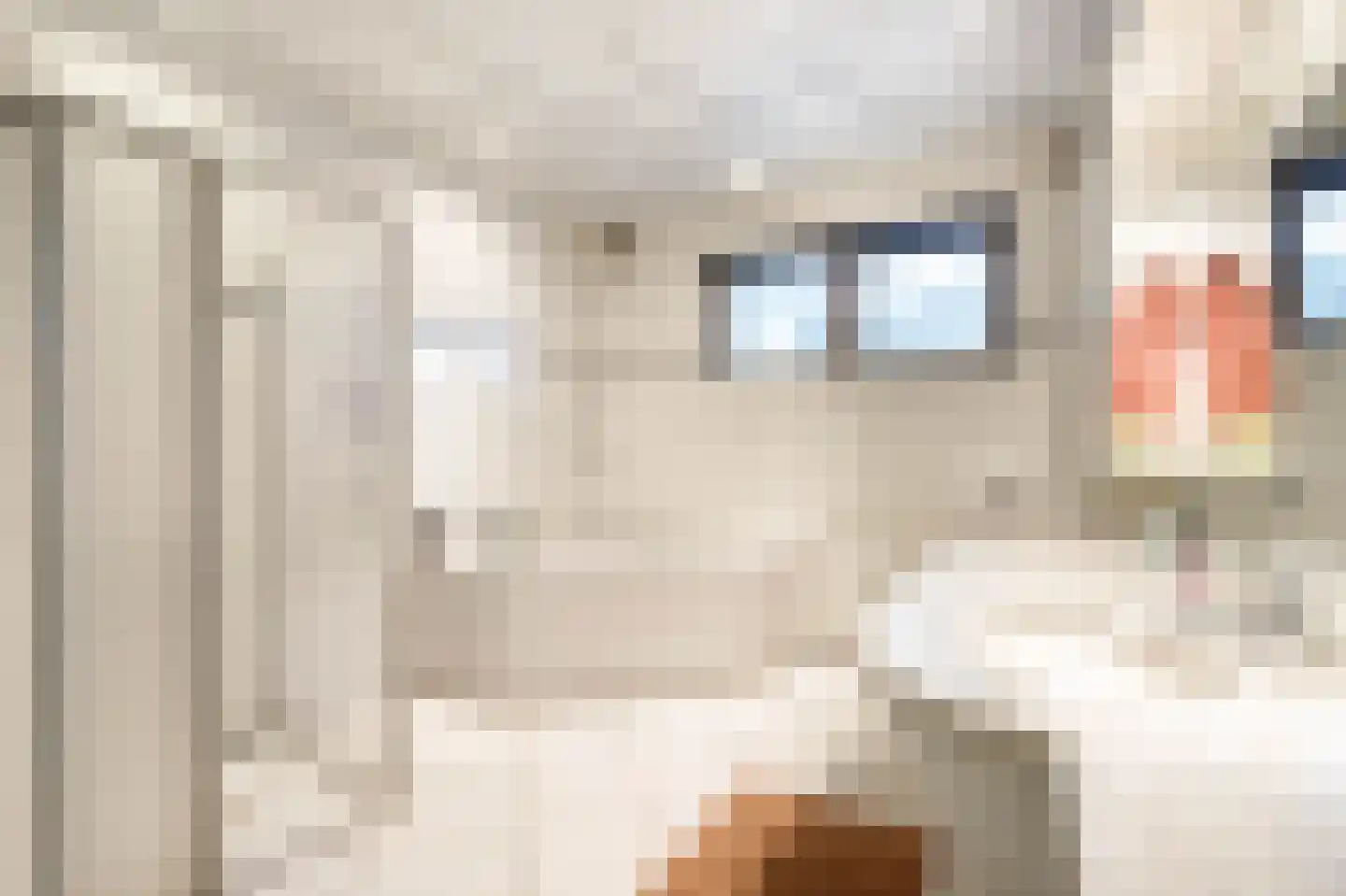 Bernhardlaan 20 Haastrecht thumbnail 25