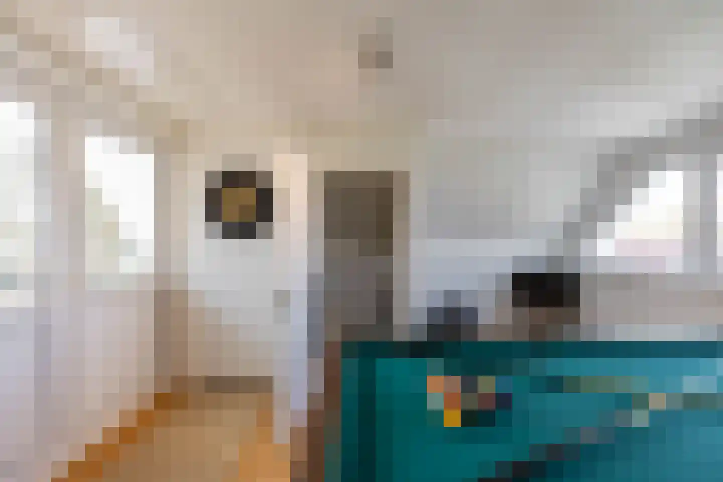 Bernhardlaan 21 Groningen thumbnail 27