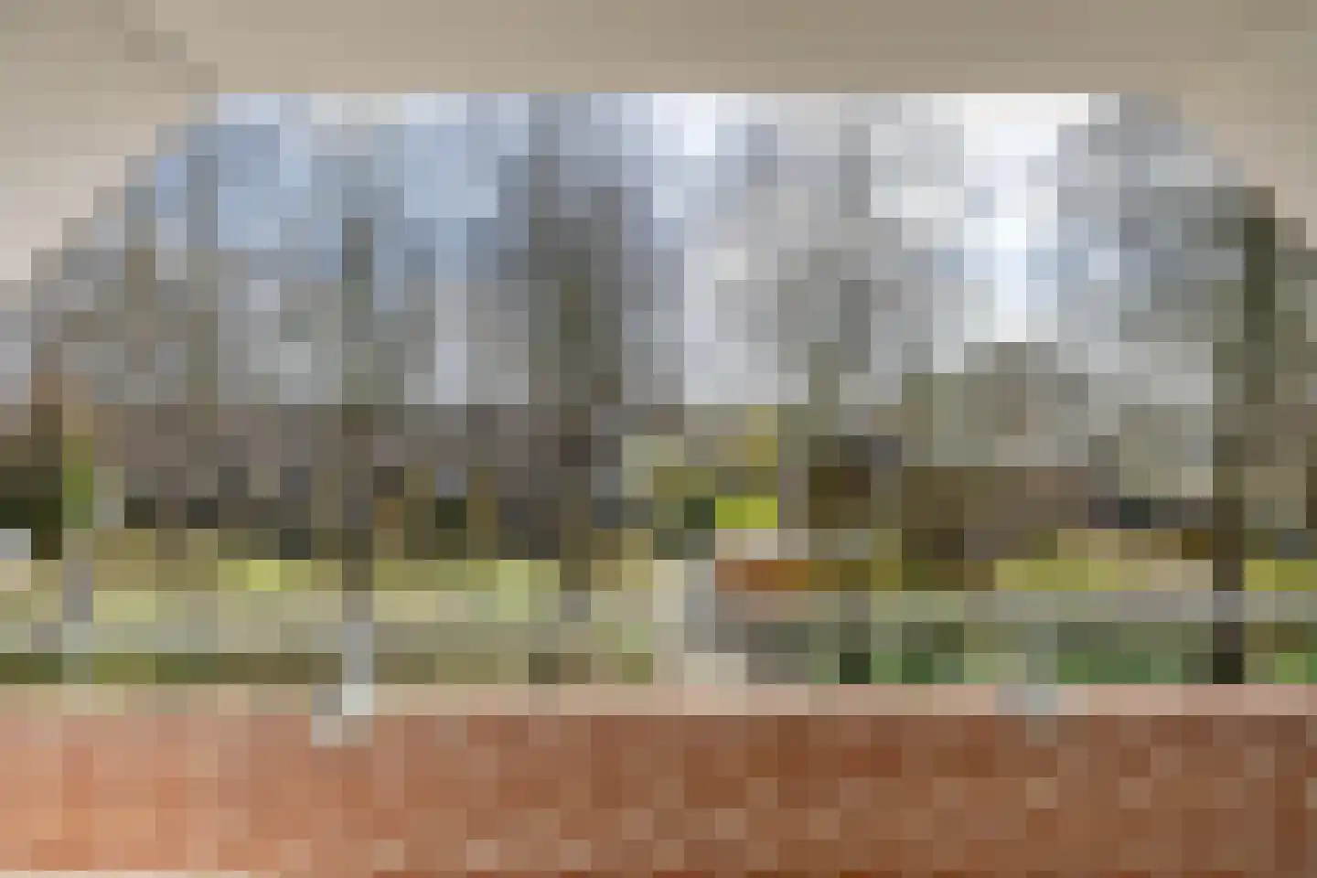 Bernhardlaan 21 Groningen thumbnail 30