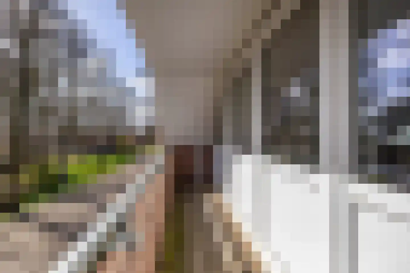 Bernhardlaan 21 Groningen thumbnail 31
