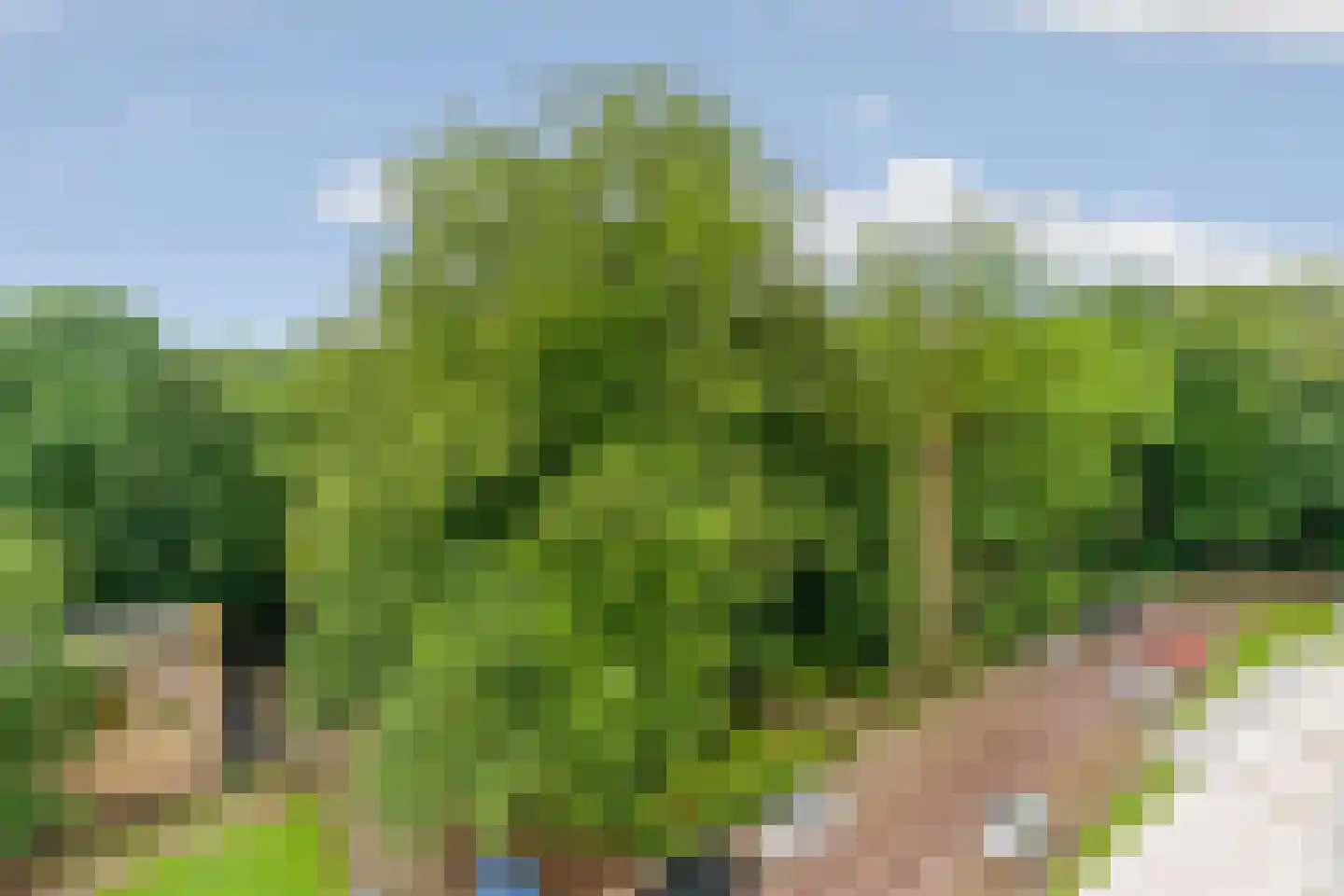 Bernhardlaan 23 4A Arnhem thumbnail 30