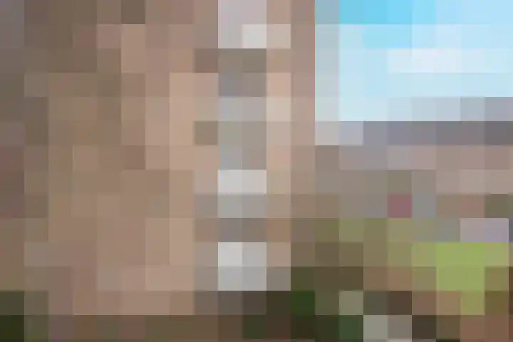 Bernhardlaan 27 3 Arnhem thumbnail 33